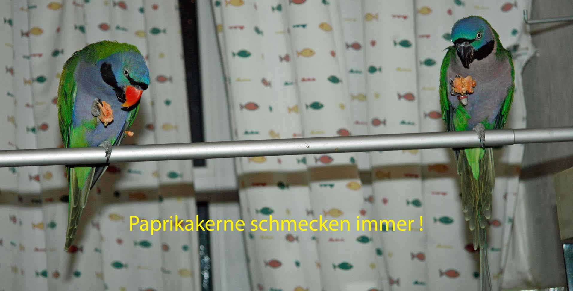 Paprikakerne_schmecken_immer_txt